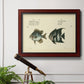 Bloch Antique Fish II Premium Framed Canvas- Ready to Hang