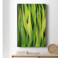 Blades of Grass I Premium Gallery Wrapped Canvas - Ready to Hang