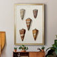 Cone Shell Collection II - Modern Framed Canvas Print