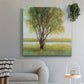 Shade Tree I-Premium Gallery Wrapped Canvas - Ready to Hang