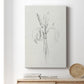 Neutral Iris Sketch II - Canvas Art Print