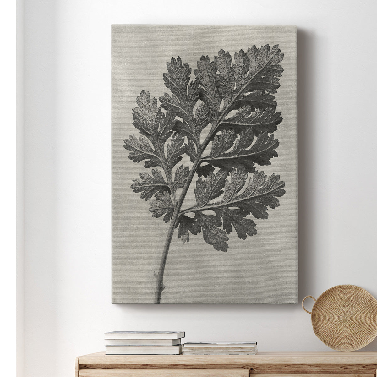 Blossfeldt Botanical III Premium Gallery Wrapped Canvas - Ready to Hang