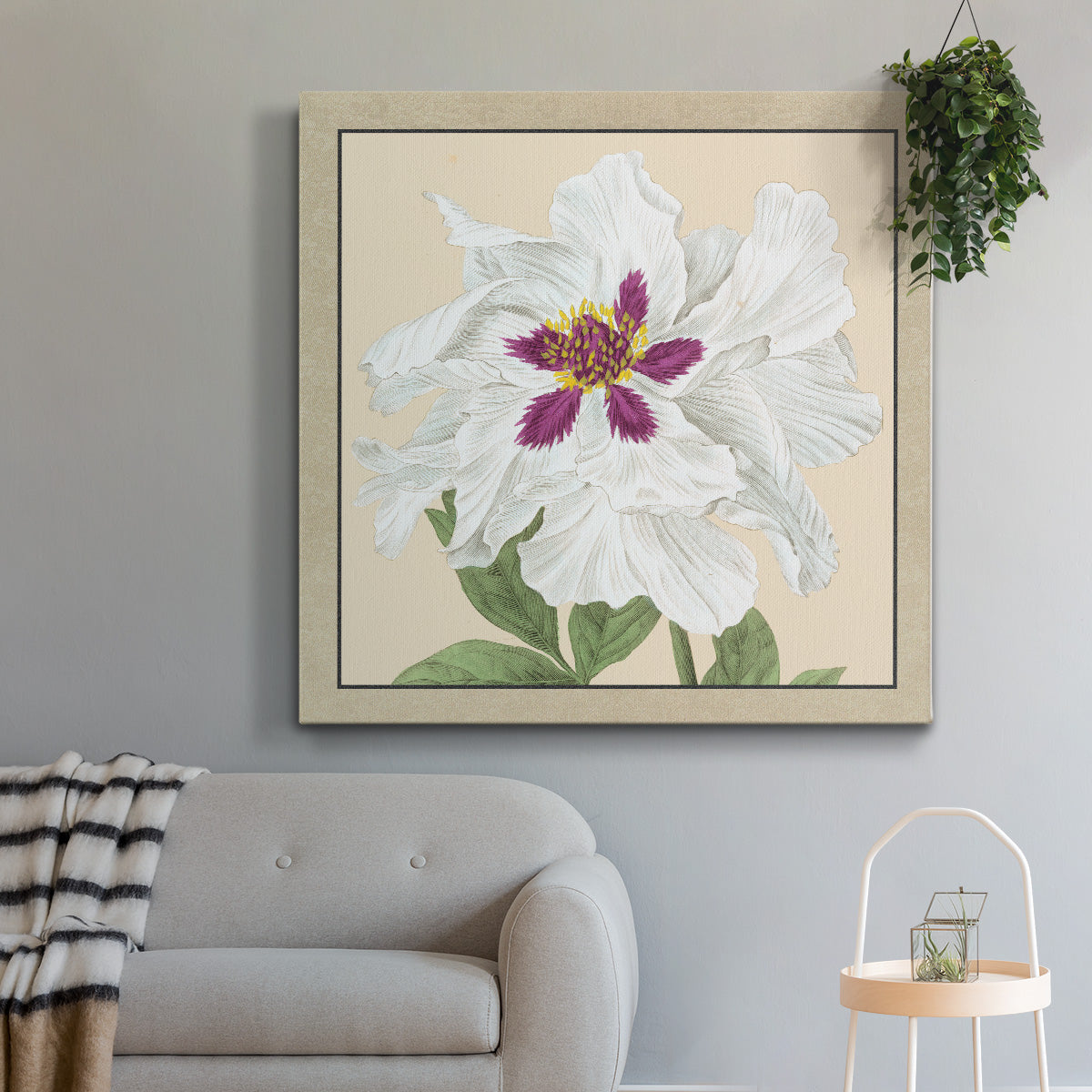 Peony Collection IV - Canvas Art Print