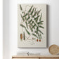 Botanical Society Ferns X Premium Gallery Wrapped Canvas - Ready to Hang