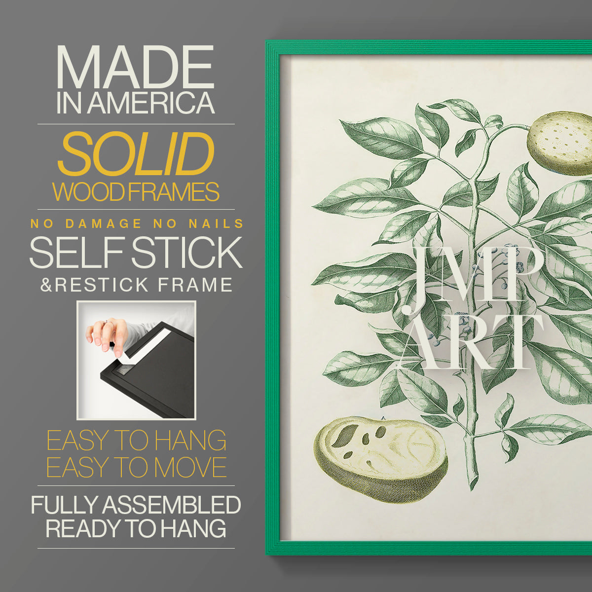 Buchoz Tropicals III - Restickable Framed Art Print