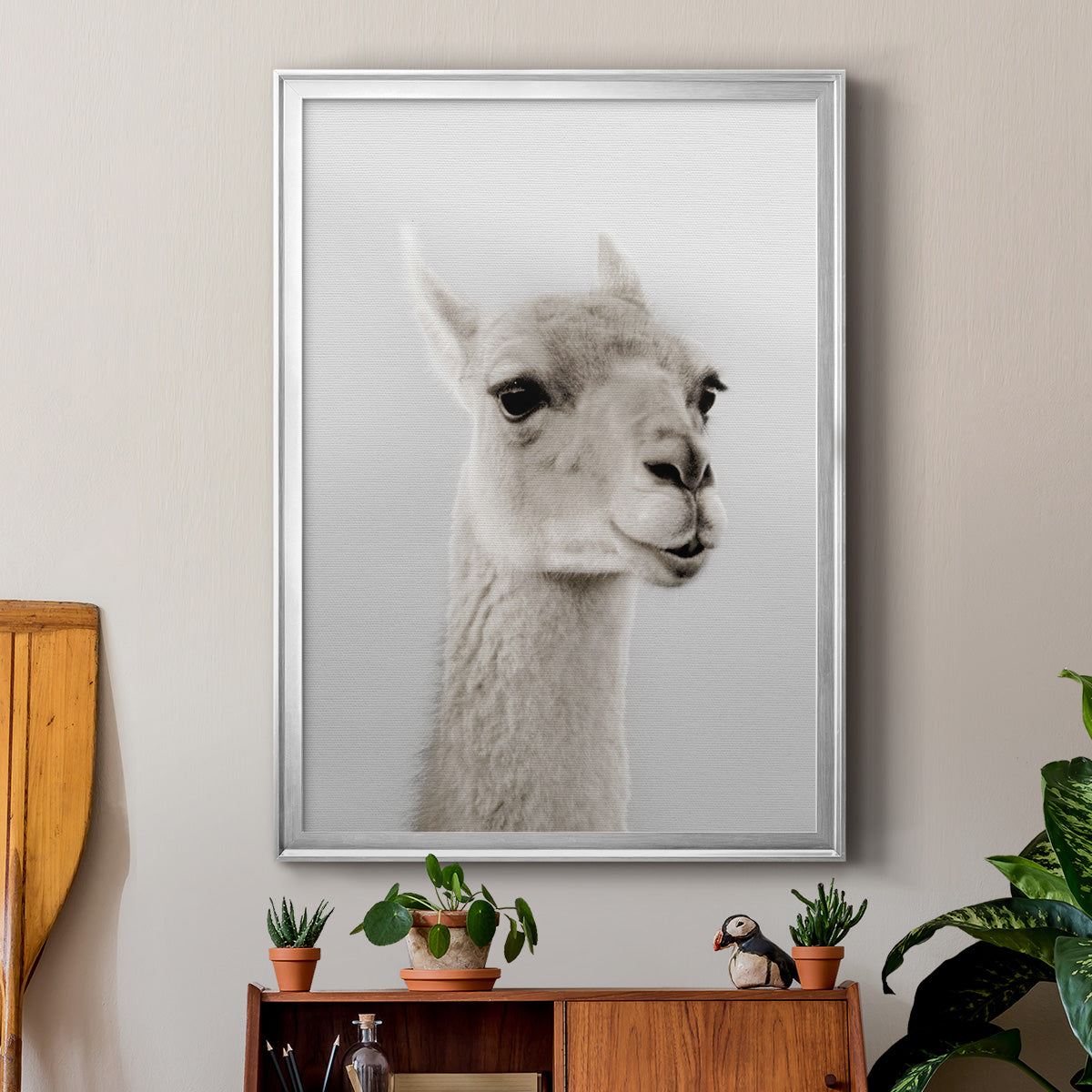 Soft Llama - Modern Framed Canvas Print