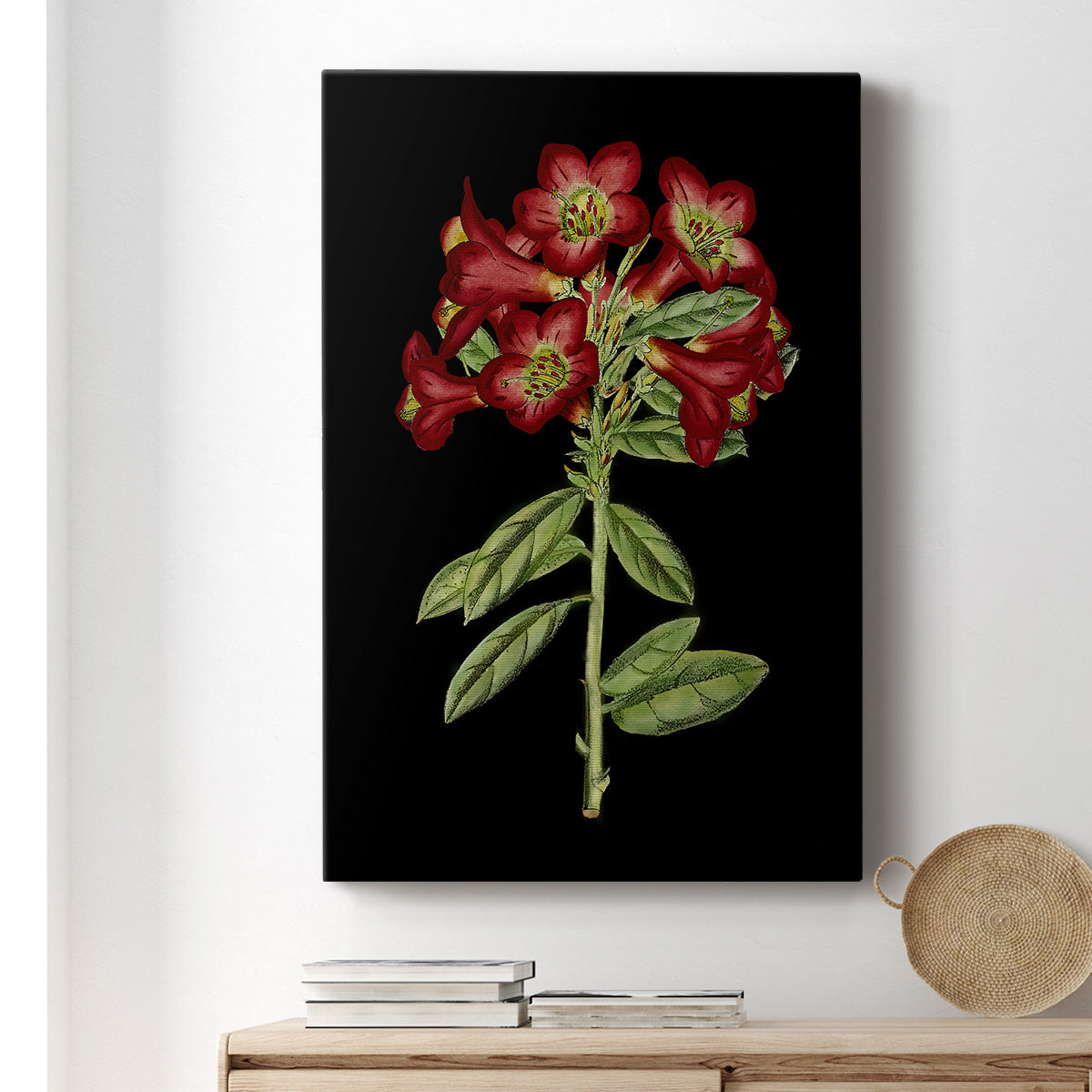 Crimson Flowers on Black (A) IV - Canvas Art Print