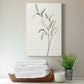 Spindle Sprig III Premium Gallery Wrapped Canvas - Ready to Hang