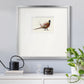 Pheasant Splash 2 Premium Framed Print Double Matboard