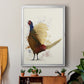 Pheasant Splash 8 - Modern Framed Canvas Print