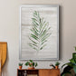 Tropic Frond II - Modern Framed Canvas Print