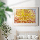 Blooms III - Barnwood Framed Art Print