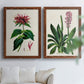 Set of two maple barnwood framed canvas prints depicting detailed blossoms, leaves, roots, and archival cream grounds arranged across two complementary compositions above a sofa in a bright living space.