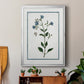 Shabby Chic Botanical II - Modern Framed Canvas Print