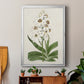 Flore Albo I - Modern Framed Canvas Print