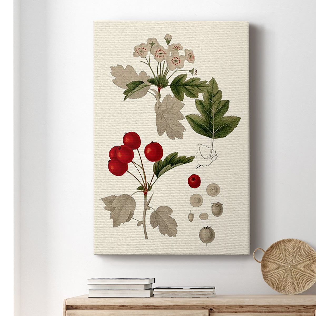 Leaves & Berries III - Canvas Art Print