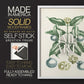 Buchoz Tropicals VII - Restickable Framed Art Print