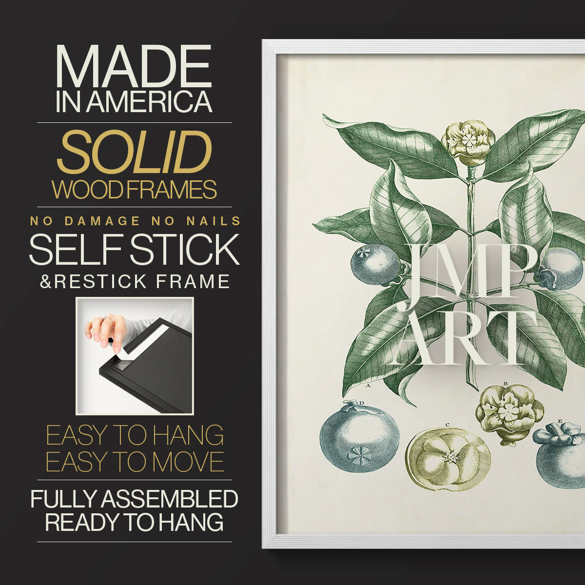 Buchoz Tropicals VII - Restickable Framed Art Print
