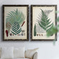 Set of two black barnwood framed canvas prints depicting varied green fronds, roots, spores, and archival labels arranged across two complementary compositions above a sofa in a bright living space.
