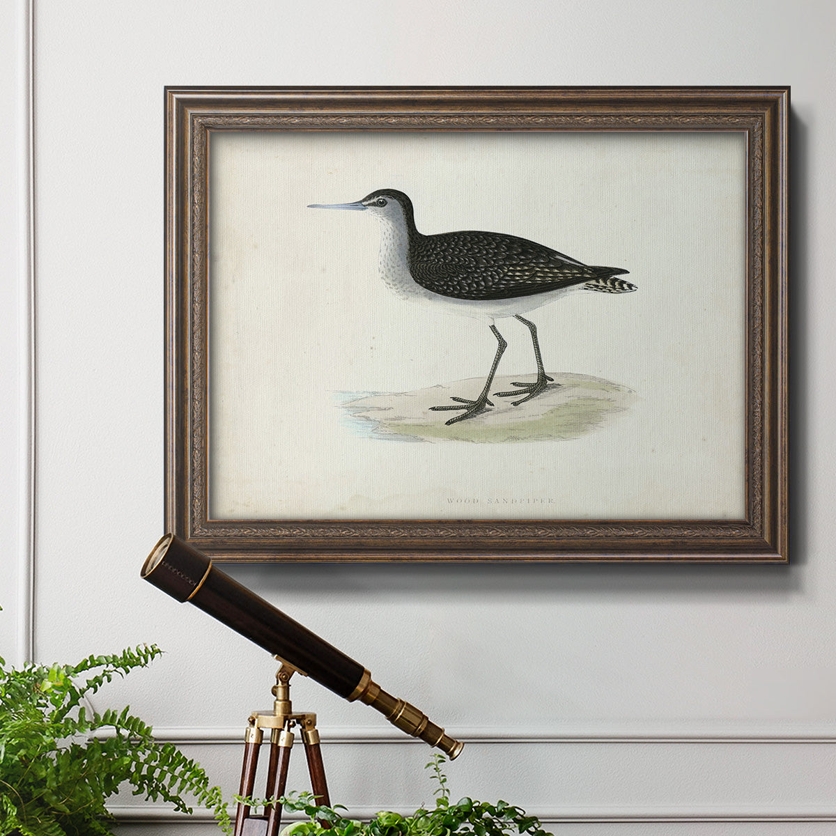 Morris Sandpipers VIII Premium Framed Canvas- Ready to Hang