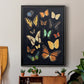 Collected Flutter III - Modern Framed Canvas Print