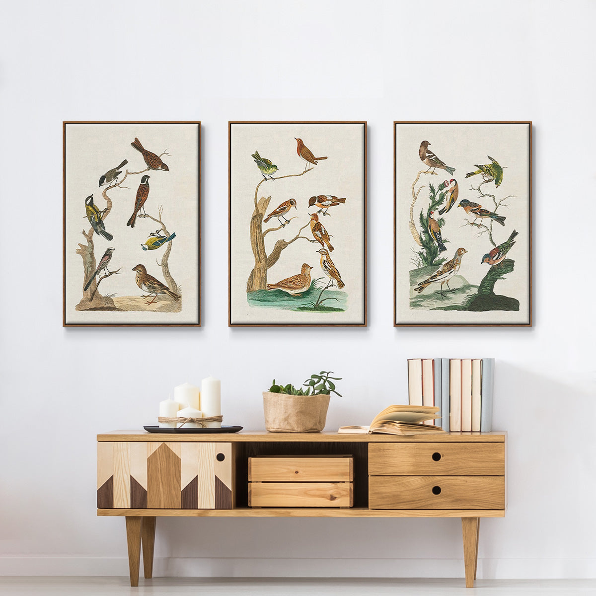 Antique Birds in Nature I - Framed Premium Gallery Wrapped Canvas L Frame 3 Piece Set - Ready to Hang