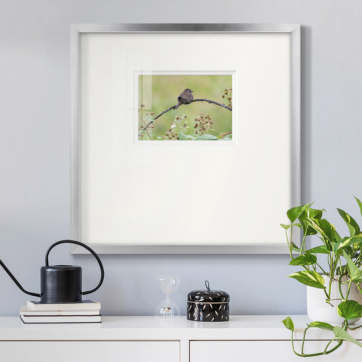 Resting Sparrow Premium Framed Print Double Matboard