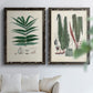 Set of two black barnwood framed canvas prints depicting varied green fronds, roots, spores, and archival labels arranged across two complementary compositions above a sofa in a bright living space.