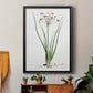 Rose Botanical II - Modern Framed Canvas Print