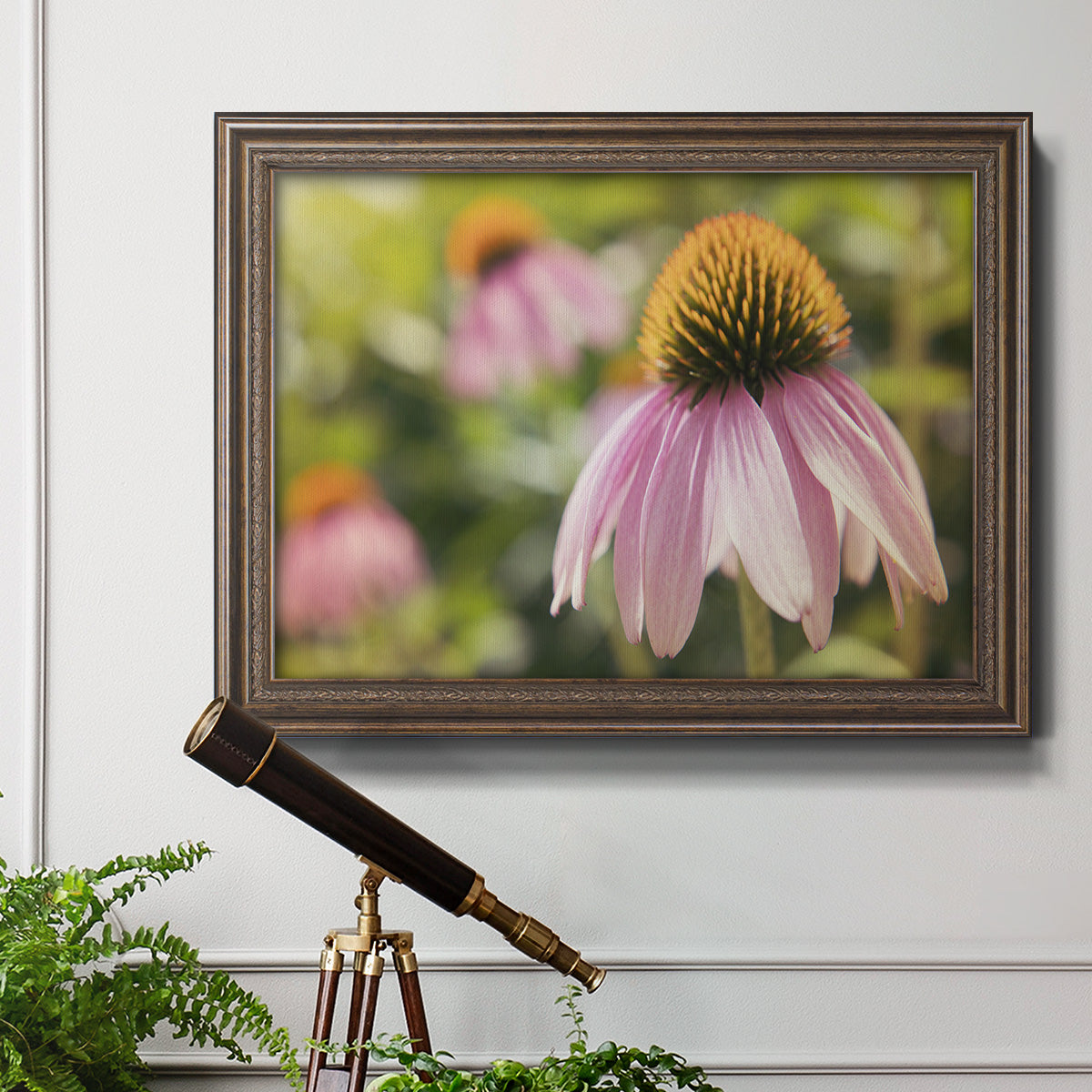 Echinacea Study I Premium Framed Canvas- Ready to Hang