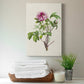 Pretty Pink Botanicals V Premium Gallery Wrapped Canvas - Ready to Hang