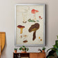 Mushroom Species XI - Modern Framed Canvas Print