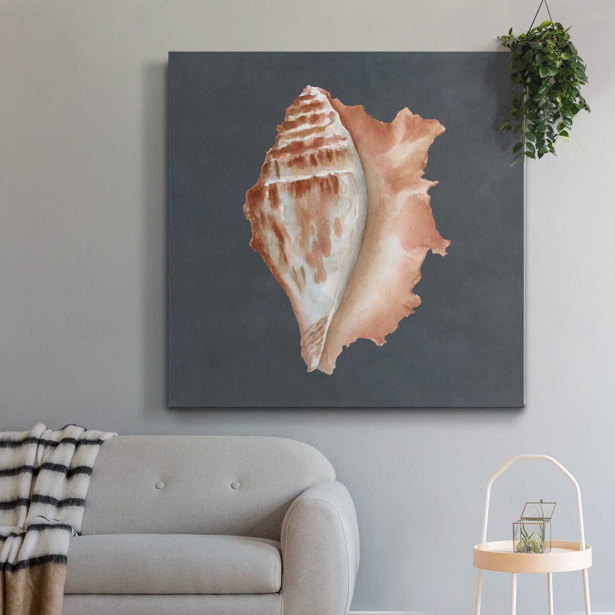 Shell on Slate IX - Canvas Art Print
