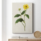 Flowers of the Seasons X - Canvas Art Print