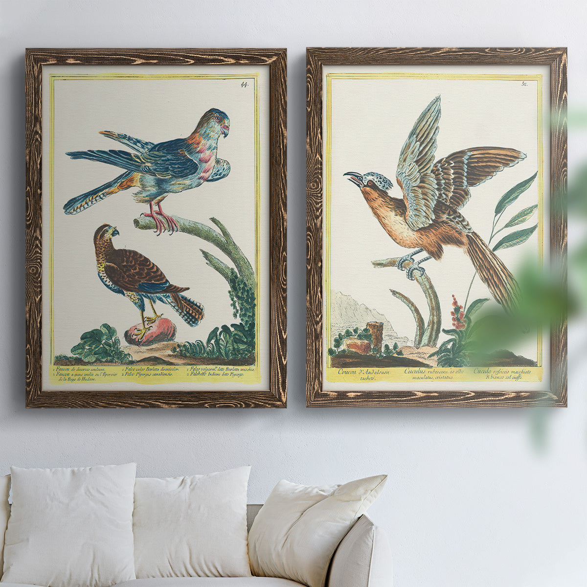 Set of two walnut barnwood framed canvas prints depicting soft clustered strokes, hazy edges, and spacious white fields arranged across two complementary compositions above a sofa in a bright living space.