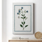 Shabby Chic Botanical II - Canvas Art Print