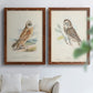 Hawk Owl - Premium Framed Canvas 2 Piece Set - Ready to Hang