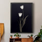Tulip Pose II - Modern Framed Canvas Print