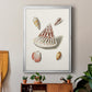 Pastel Knorr Shells VII - Modern Framed Canvas Print