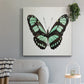 Mint Butterfly II - Canvas Art Print