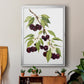 Watercolor Cherries - Modern Framed Canvas Print