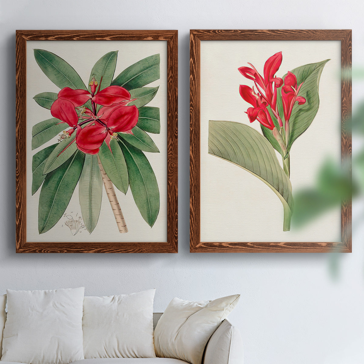 Set of two maple barnwood framed canvas prints depicting large green leaves, red blossoms, and archival cream paper arranged across two complementary compositions above a sofa in a bright living space.