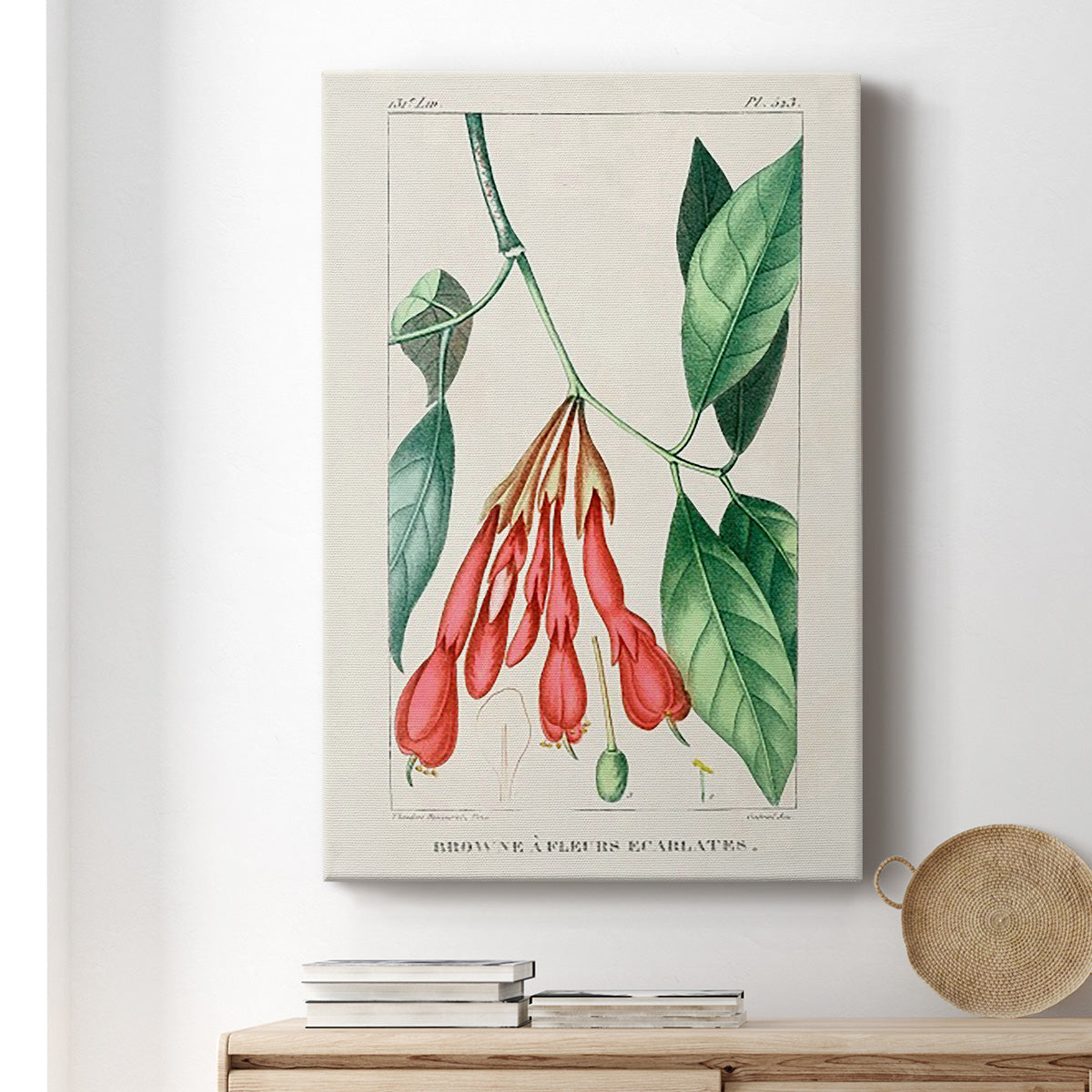Turpin Tropical Botanicals I - Canvas Art Print