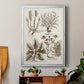 Sepia Botanical Journal VII - Modern Framed Canvas Print