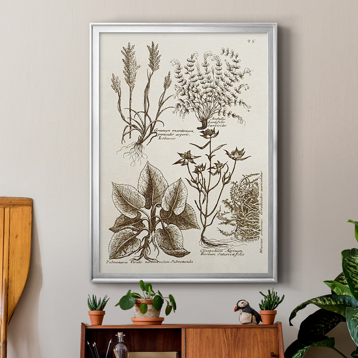 Sepia Botanical Journal VII - Modern Framed Canvas Print
