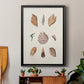 Knorr Shells & Coral VI - Modern Framed Canvas Print