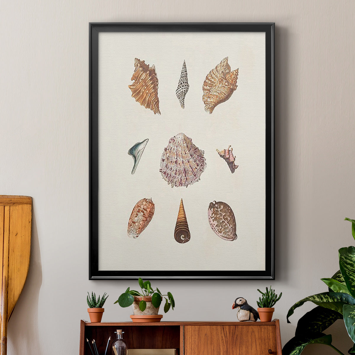 Knorr Shells & Coral VI - Modern Framed Canvas Print