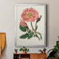 Pink Floral Mix IX - Modern Framed Canvas Print