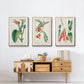 Turpin Tropical Botanicals I - Floater Framed Canvas Set