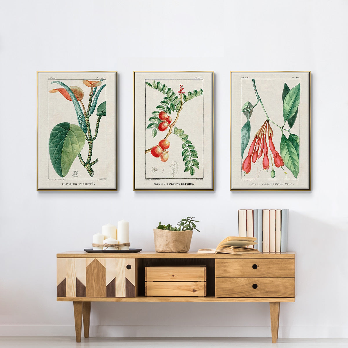 Turpin Tropical Botanicals I - Floater Framed Canvas Set